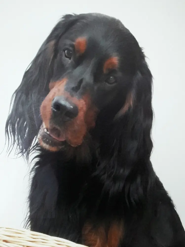 Condolence image of edgar