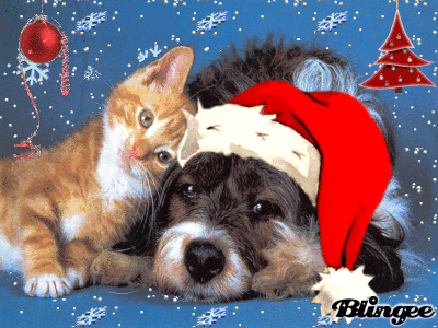 Condolence image of Weihnachtspost