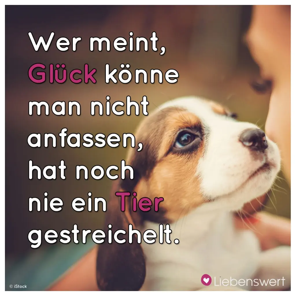 Condolence image of dein Frauchen