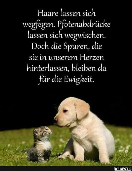 Condolence image of Deinem Frauchen