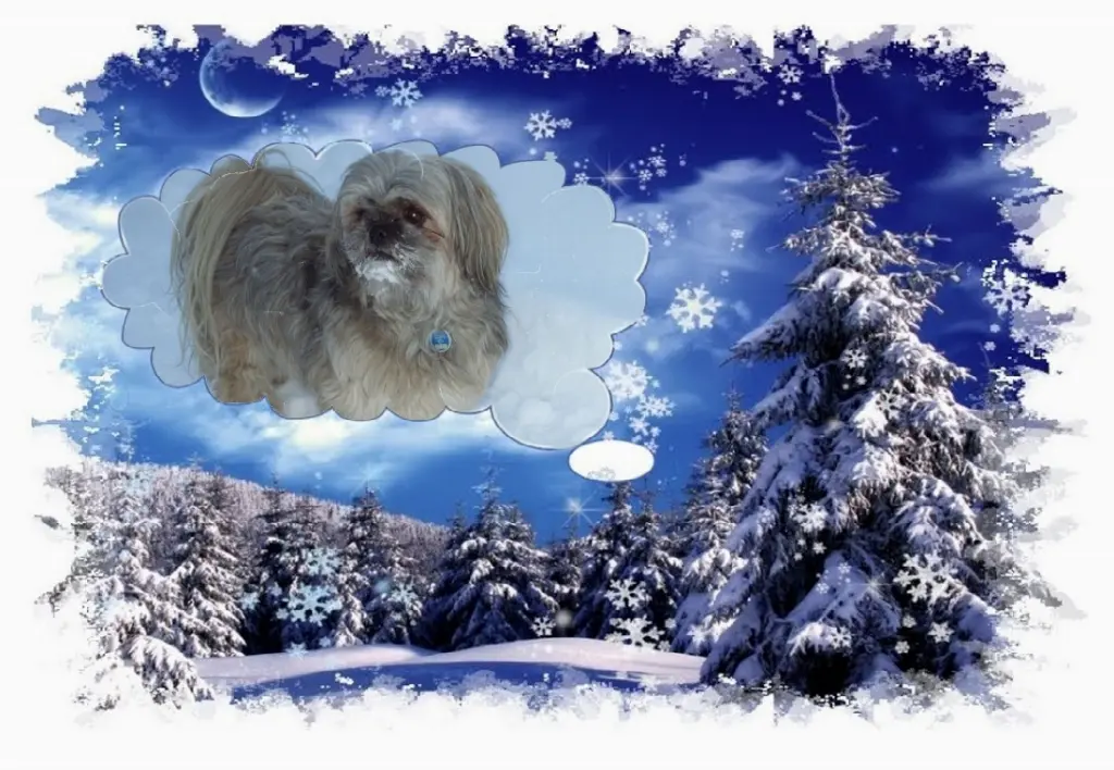 Condolence image of Gute Nacht Liebe Susi❤️