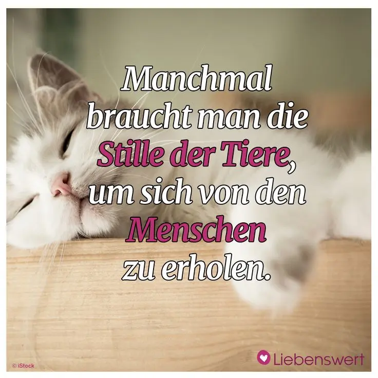 Condolence image of Deinem Frauchen
