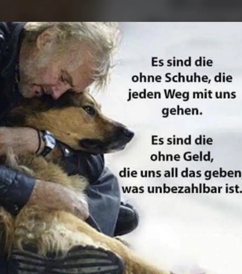 Condolence image of dein Frauchen
