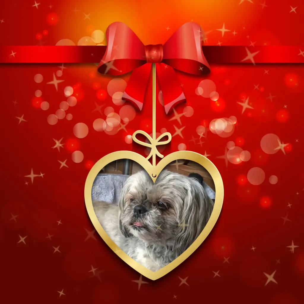 Condolence image of Liebe Susi❤️