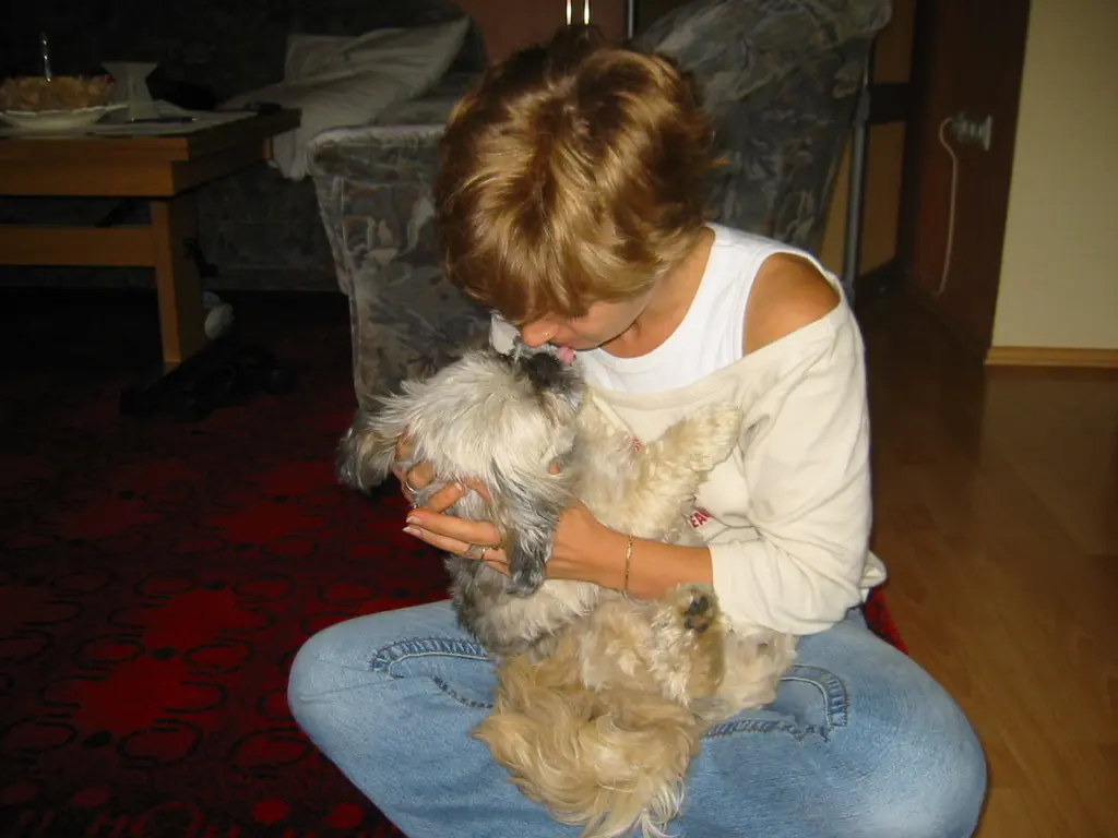 Condolence image of Deinem Frauchen
