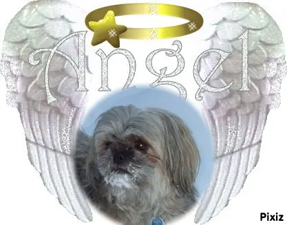 Condolence image of Liebe Susi❤️