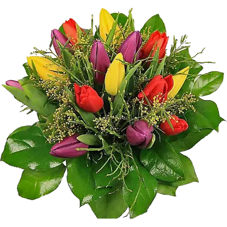 Condolence image of Deinem Frauchen