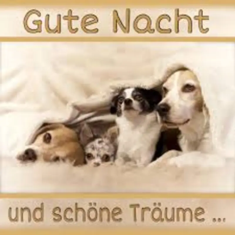 Condolence image of dein Frauchen