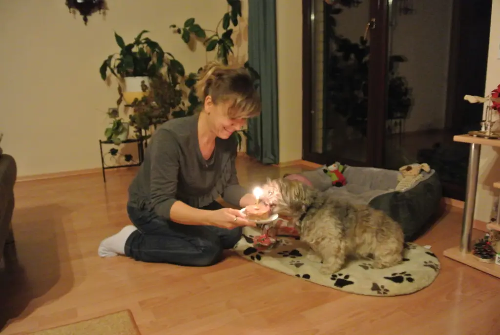 Condolence image of dein Frauchen