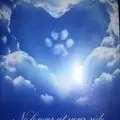Condolence image of Unbekannt