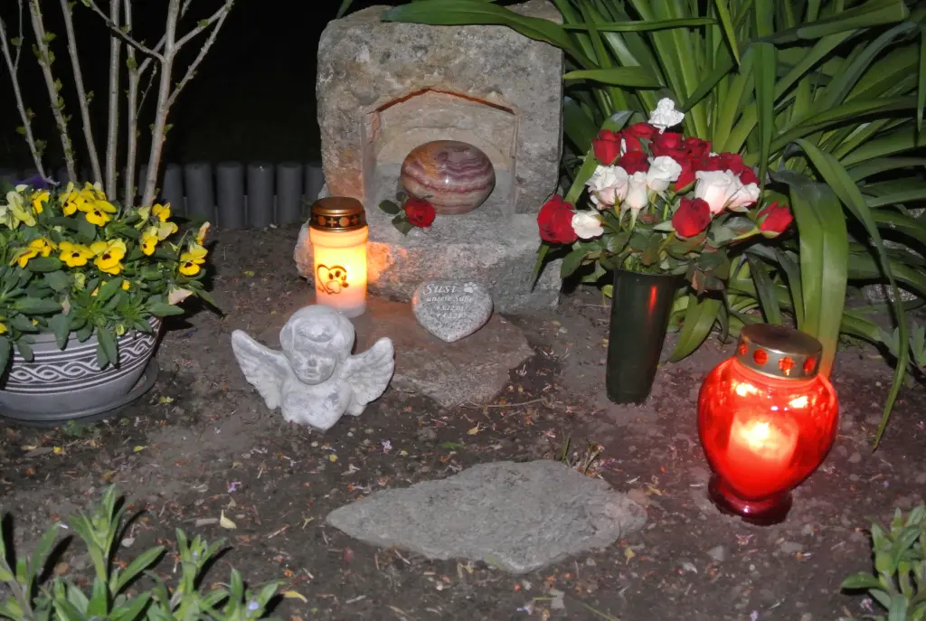 Condolence image of dein Frauchen