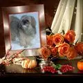 Condolence image of ❤️❤️❤️