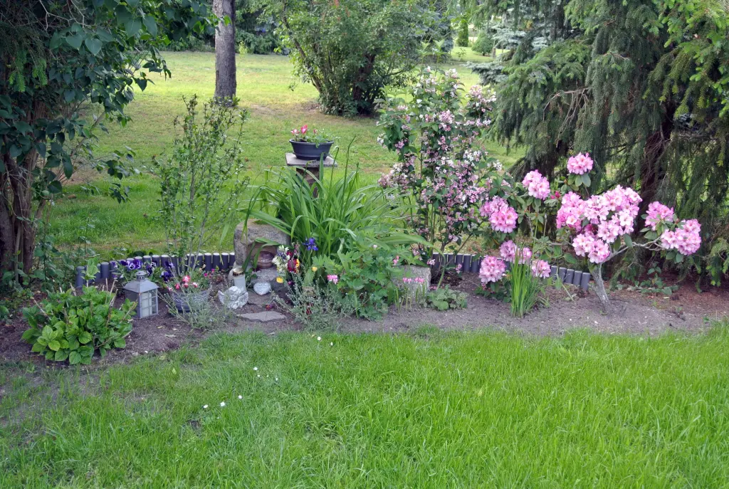 Condolence image of dein Frauchen