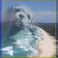 Condolence image of Marika mit Balou und Hippo im Herzen