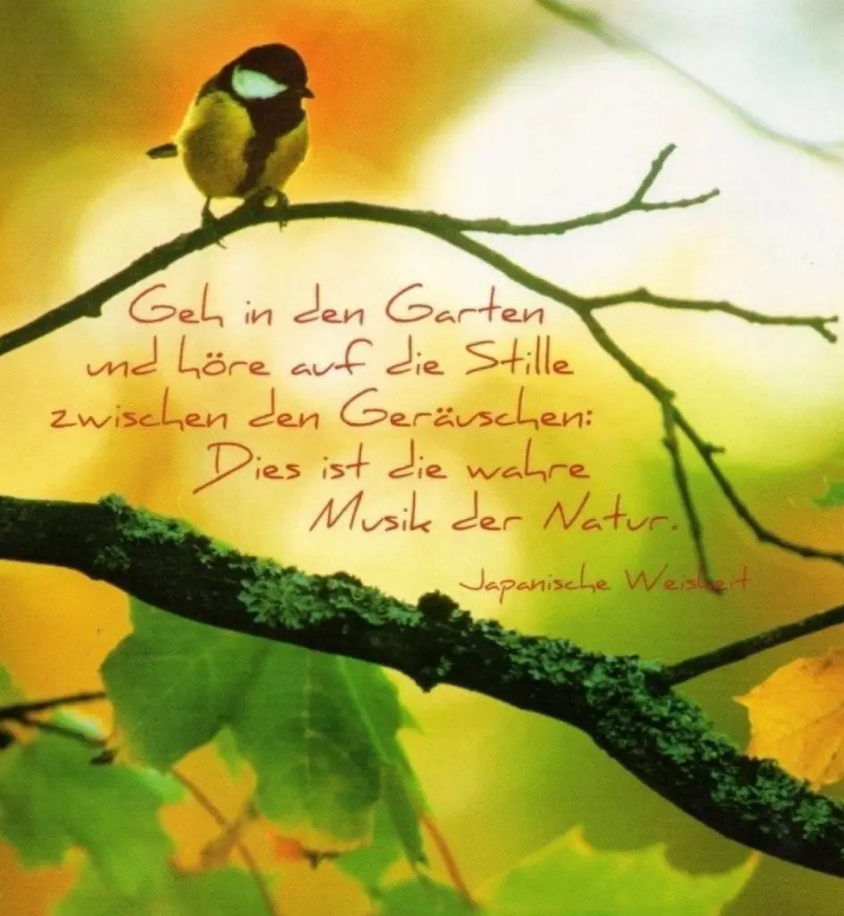 Condolence image of Eine Geschichte für Gismo und seine Freunde