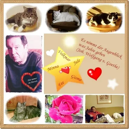 Condolence image of Ilse mit Tier-Sternlein Jule, Gismo, Fee und Minna im Herzen