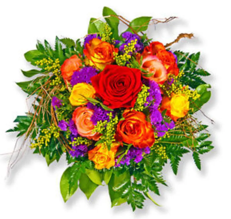 Condolence image of Uschi mit Seelenfreunden Shiva, Jojo und Merlin