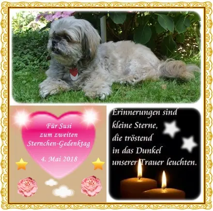 Condolence image of Ilse mit Tier-Sternlein Maja, Jule, Gismo, Fee und Minna im Herzen