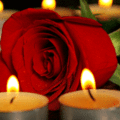 Condolence image of Evelyn mit Nele und Lara ganz tief im Herzen
