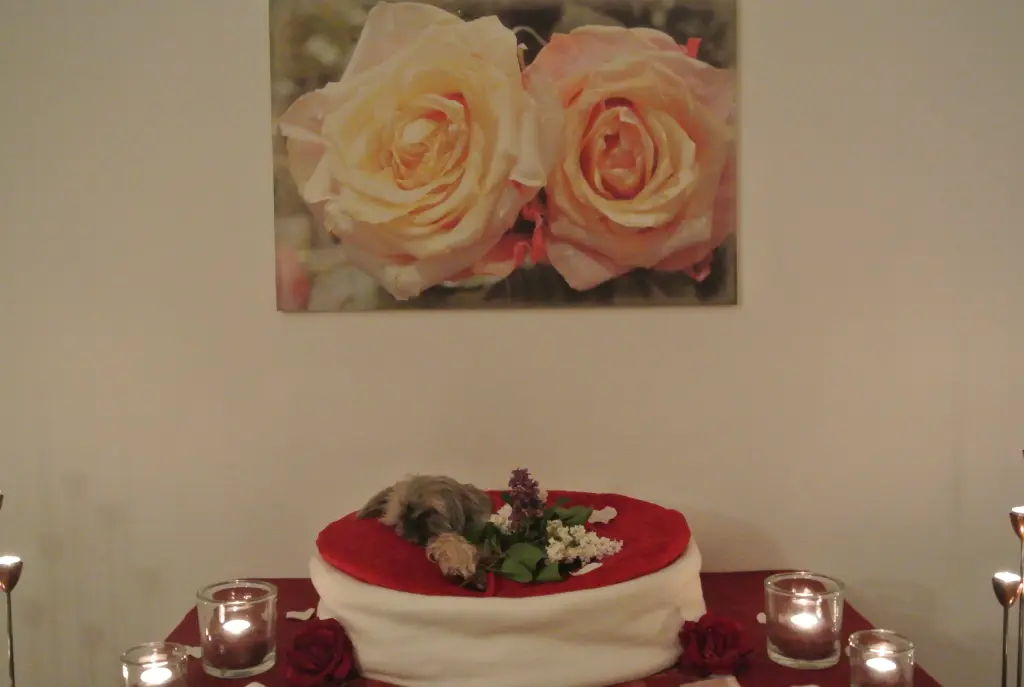 Condolence image of dein Frauchen