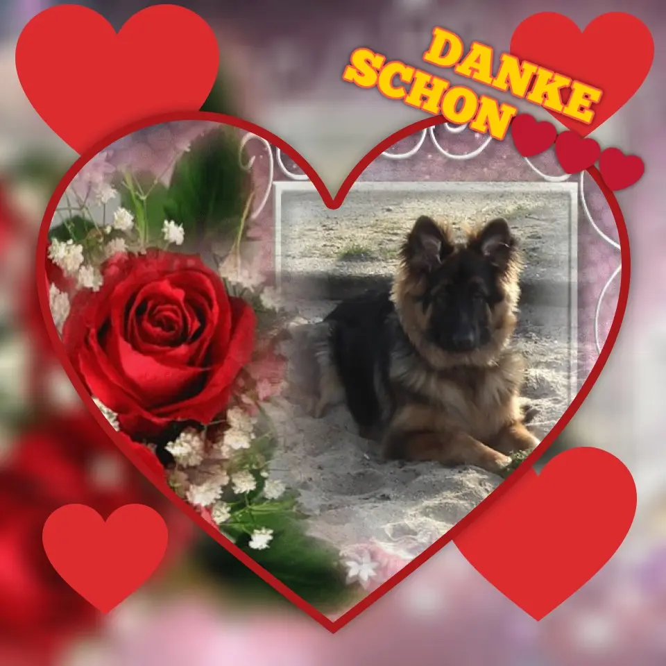 Condolence image of ❤️DANKE SCHOŃ❤️