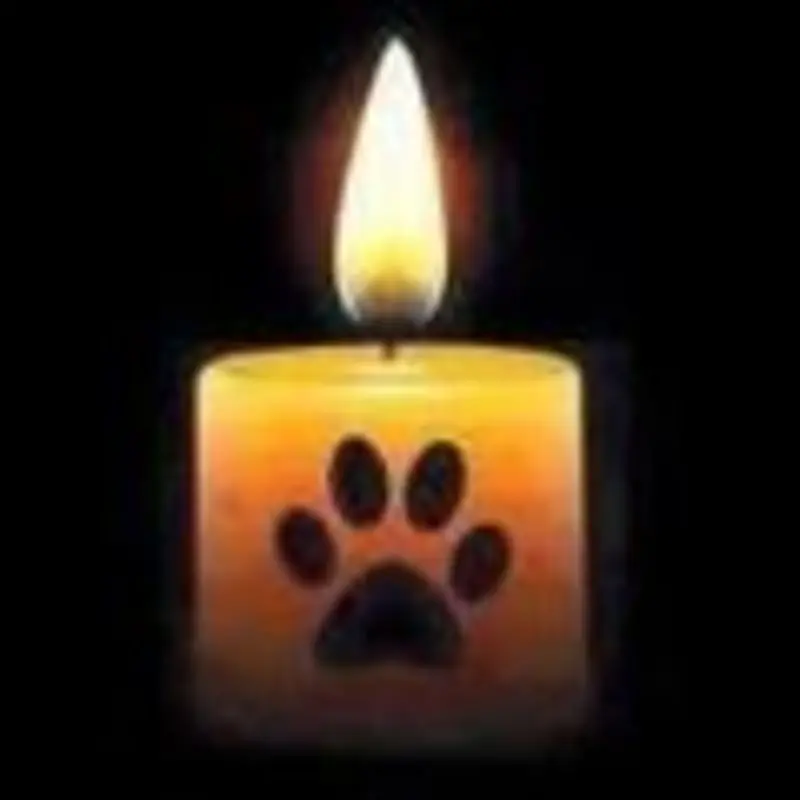 Condolence image of Evelyn mit Nele, Lara u. Fleckchen im Herzen
