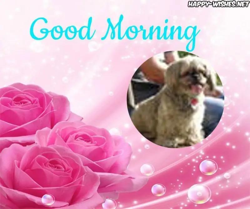 Condolence image of Guten Morgen❤️❤️❤️