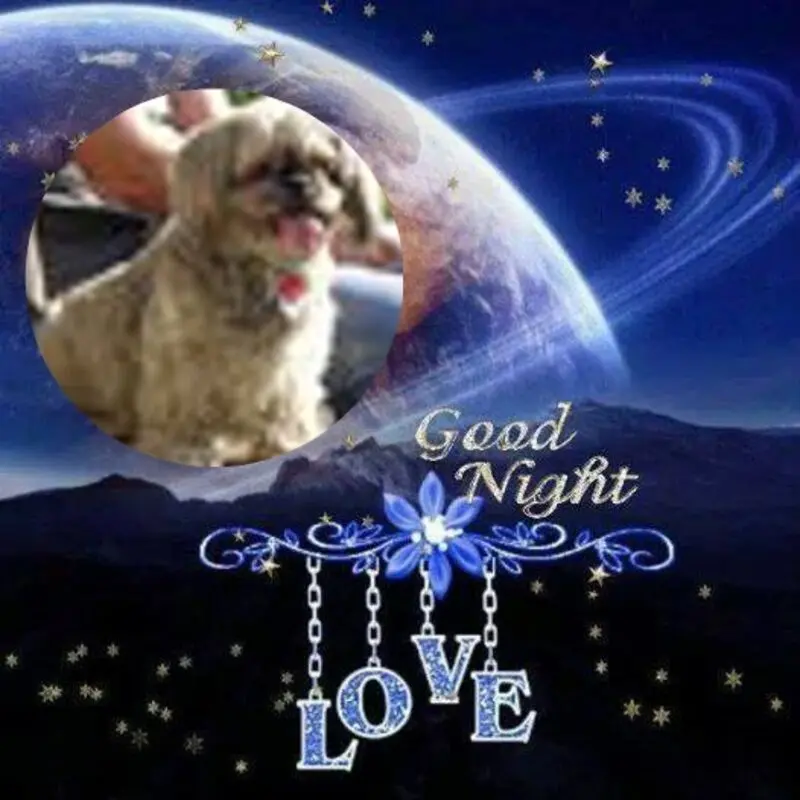 Condolence image of Rosen❤️❤️❤️❤️❤️❤️❤️fur Susilein❤️