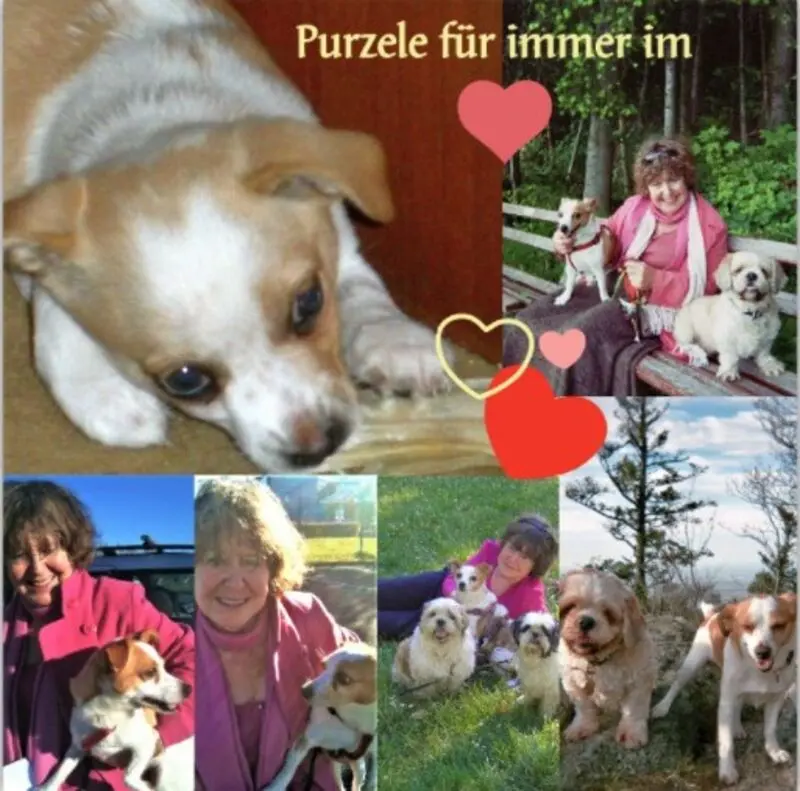 Condolence image of Purzele