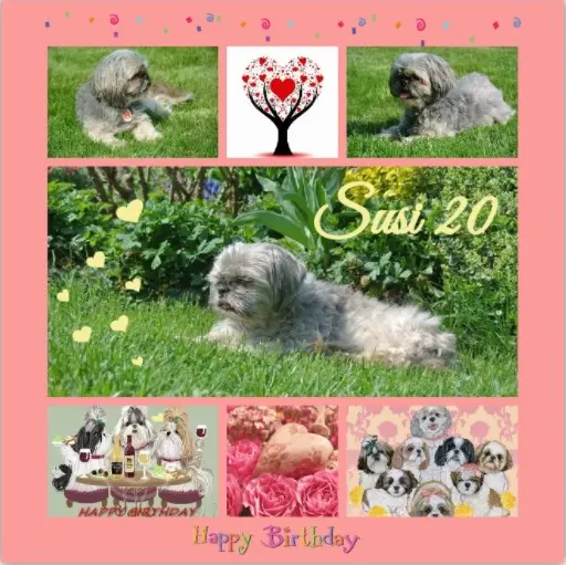 Condolence image of Rosen für Susi zum 20. Geburtstag