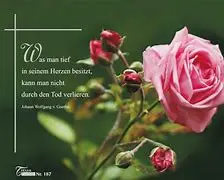 Condolence image of In Gedenken an Susi