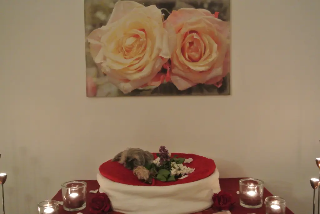 Condolence image of dein Frauchen