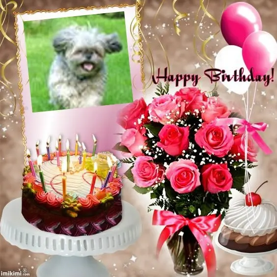 Condolence image of 21.Geburtstag❤️❤️❤️❤️❤️❤️❤️❤️❤️❤️❤️❤️❤️❤️❤️❤️❤️❤️❤️❤️❤️