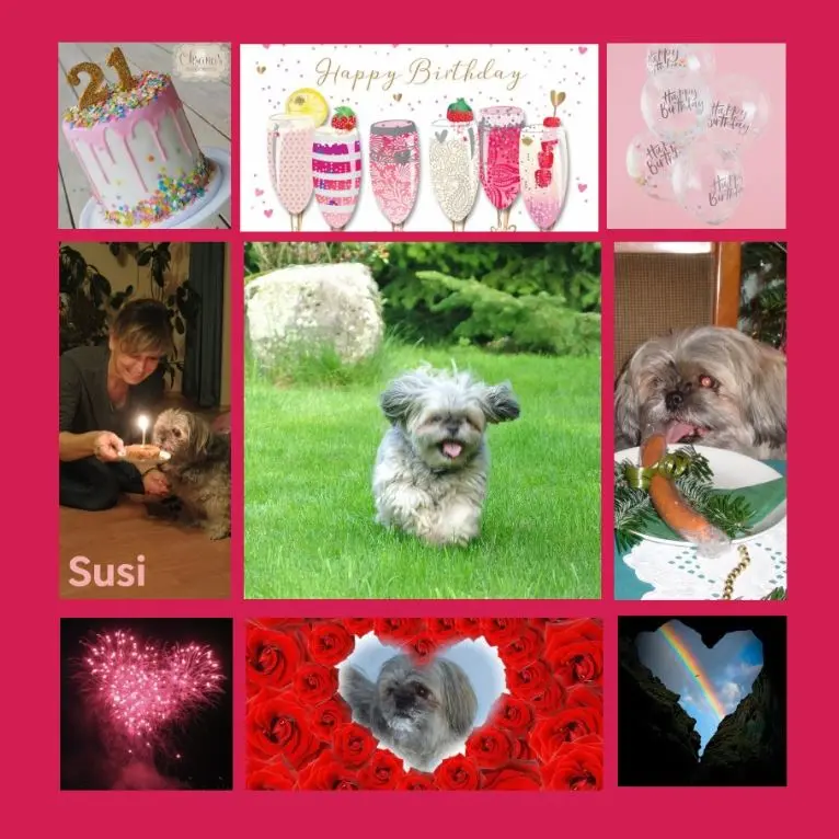 Condolence image of 21 Rosensträuße für Susi zum Geburtstag