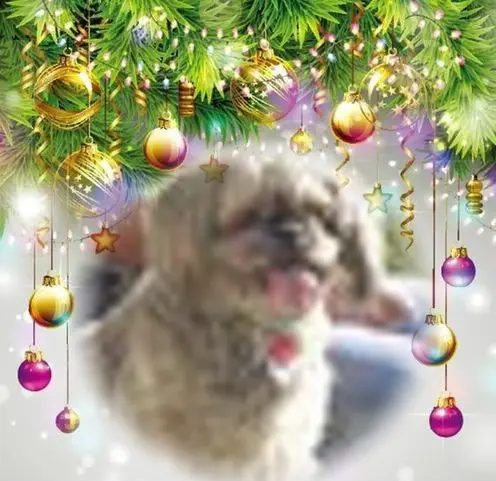 Condolence image of Frohe❤❤❤Weihnachten❤❤❤
