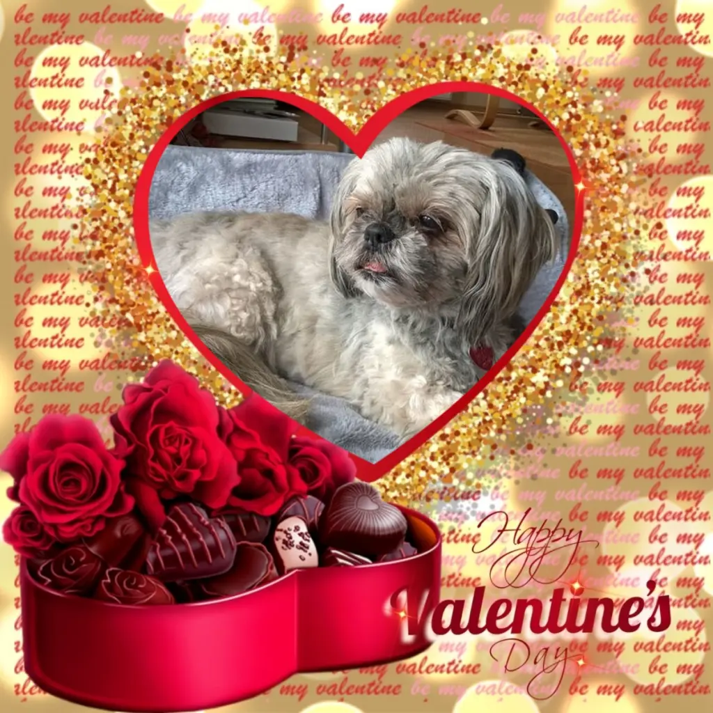 Condolence image of Valentins❤️Rosen❤️❤️❤️❤️❤️❤️❤️❤️