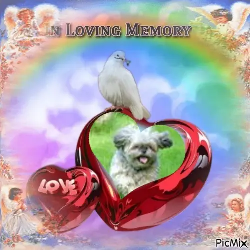 Condolence image of ❤️❤️❤️❤️❤️❤️❤️❤️