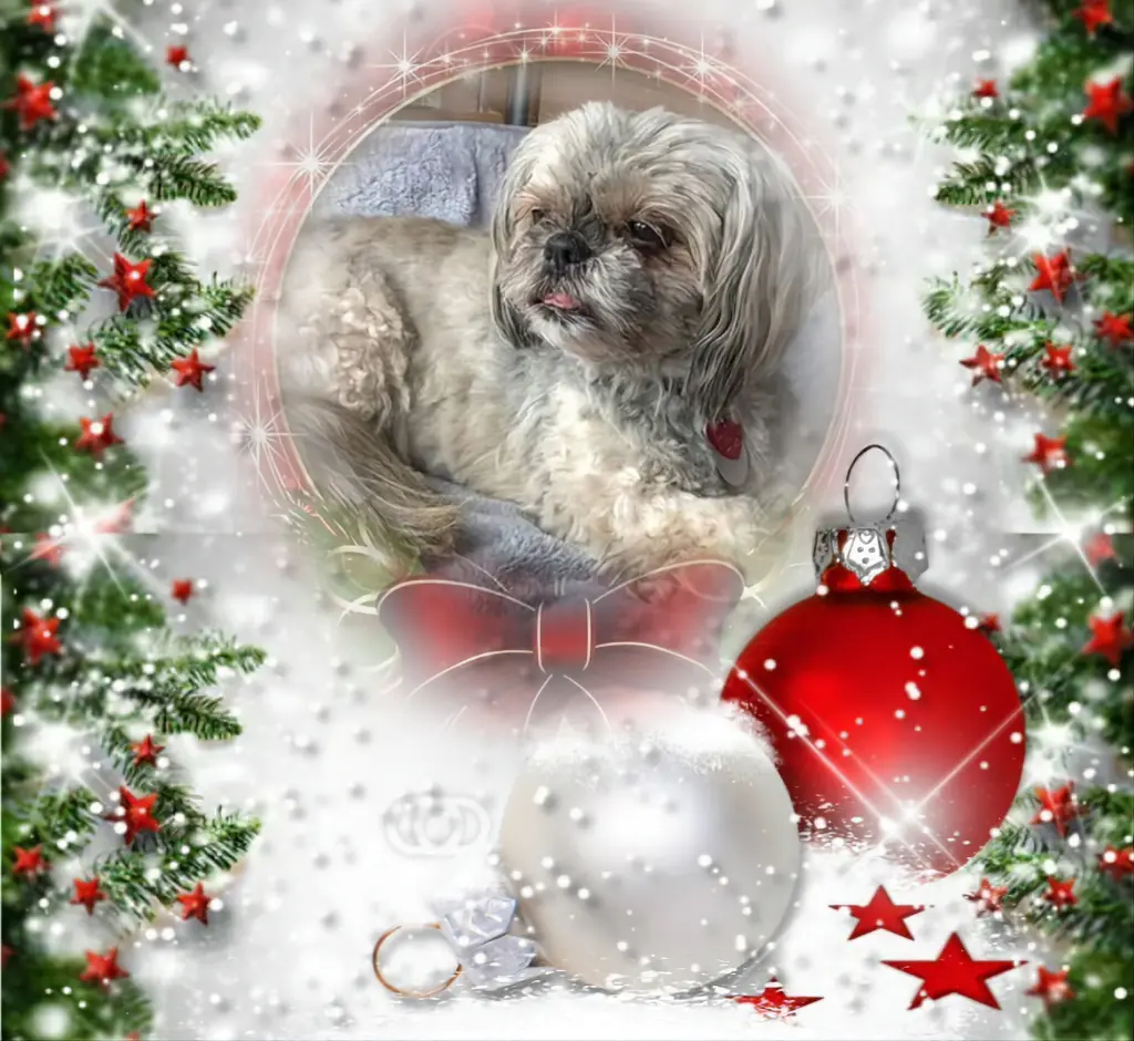 Condolence image of Frohe Weihnachten❤️⭐️❤️