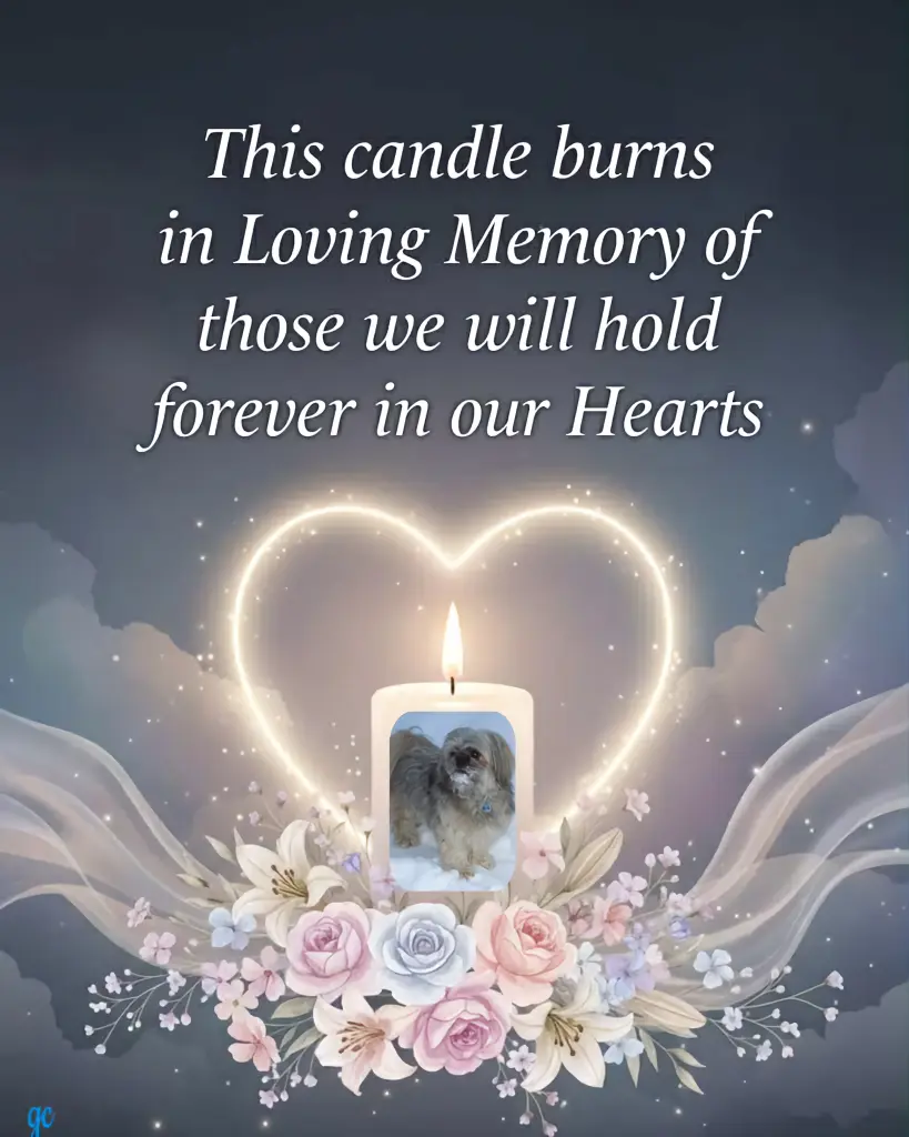 Condolence image of ❤️❤️❤️🩵🩵🩵💙💙💙🫶🫶🫶