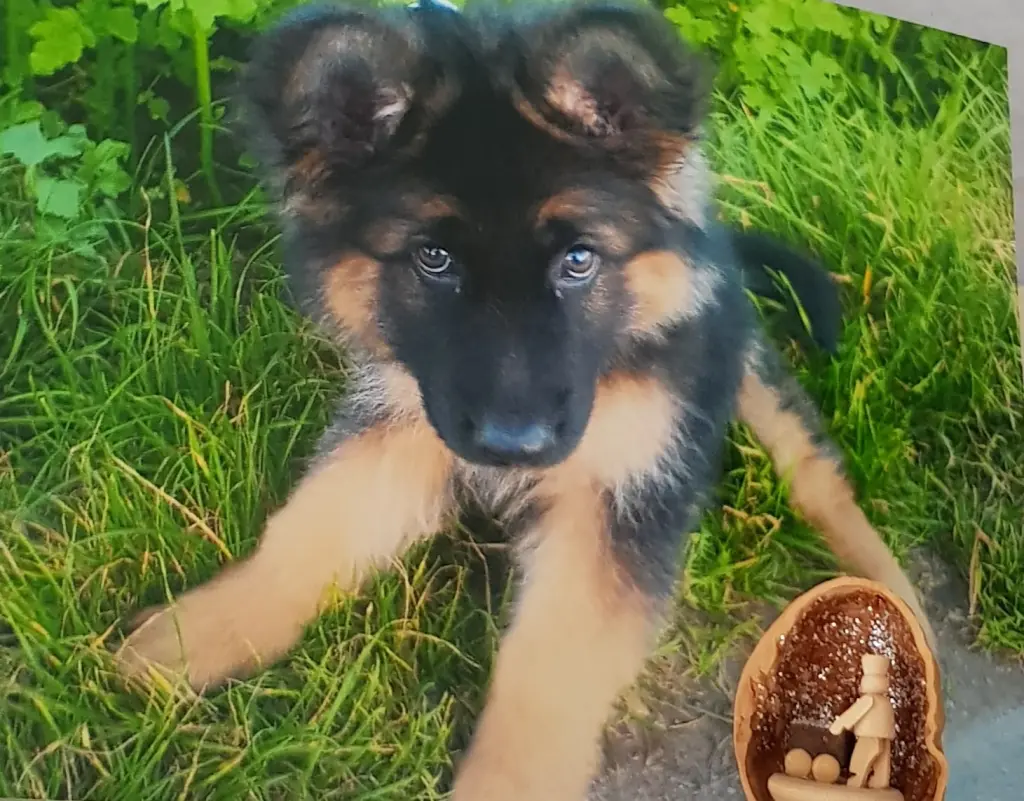 Andachtsbild von Klaudia