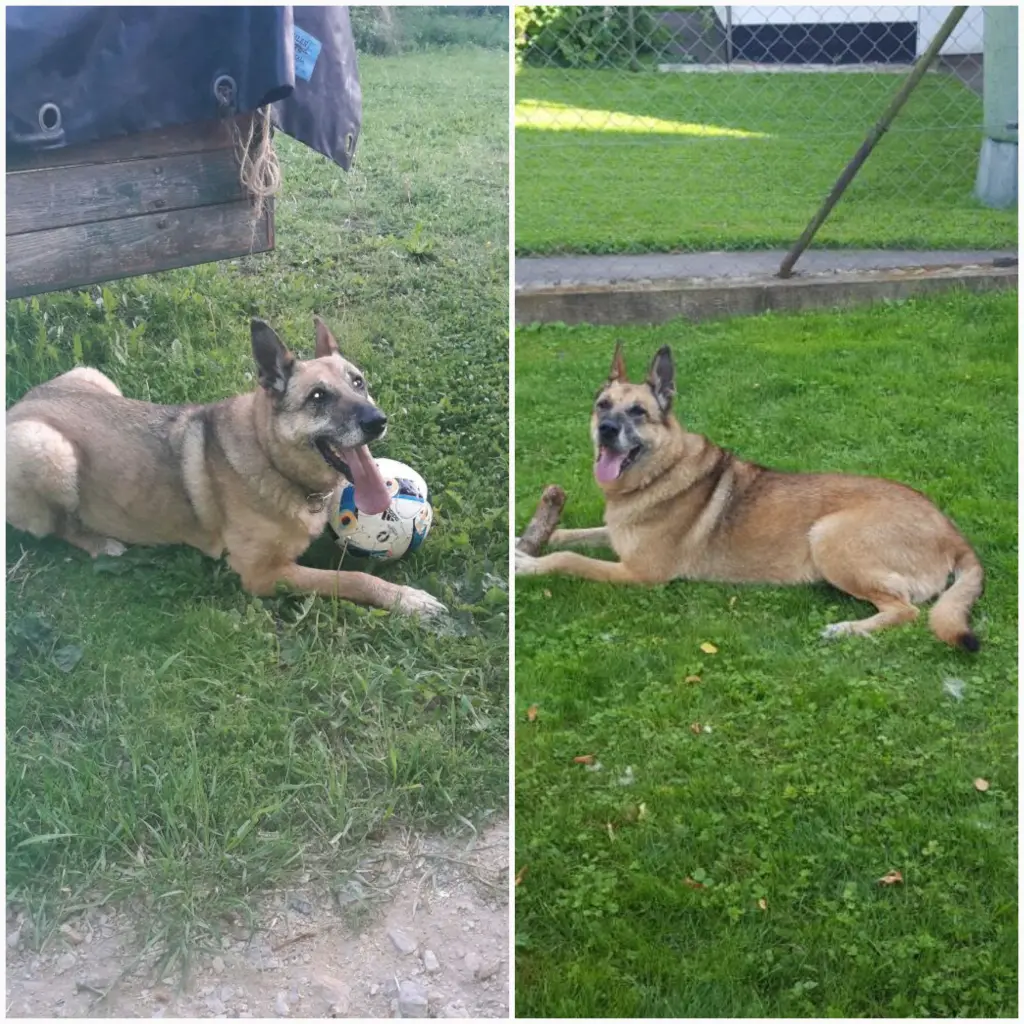 Andachtsbild von Claudia mit Tara im Herzen