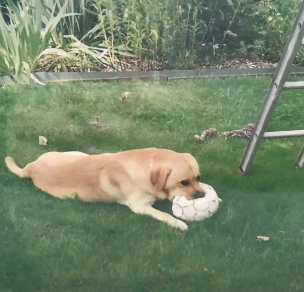 Andachtsbild von Elzbieta mit Max im Herzen