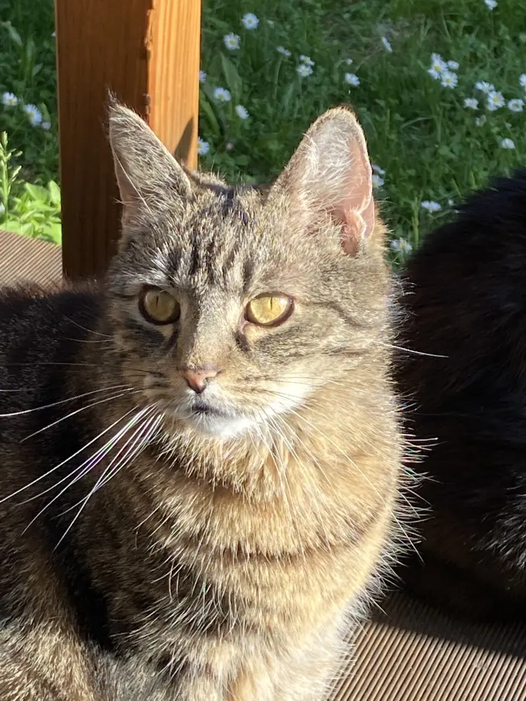 Bild von Freddy