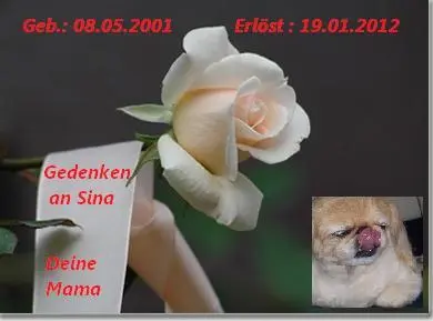 Image from mein Sonnenschein Sina