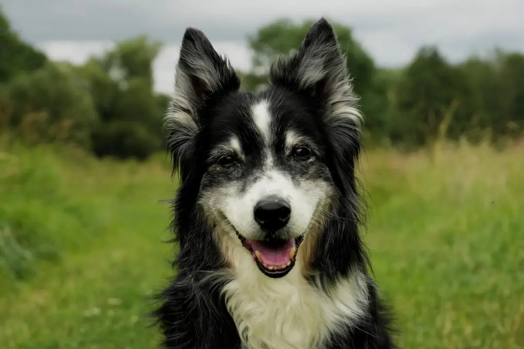 Condolence image of Oma Doris