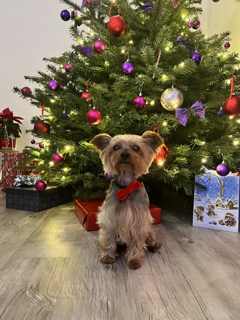 Condolence image of Damian Morys