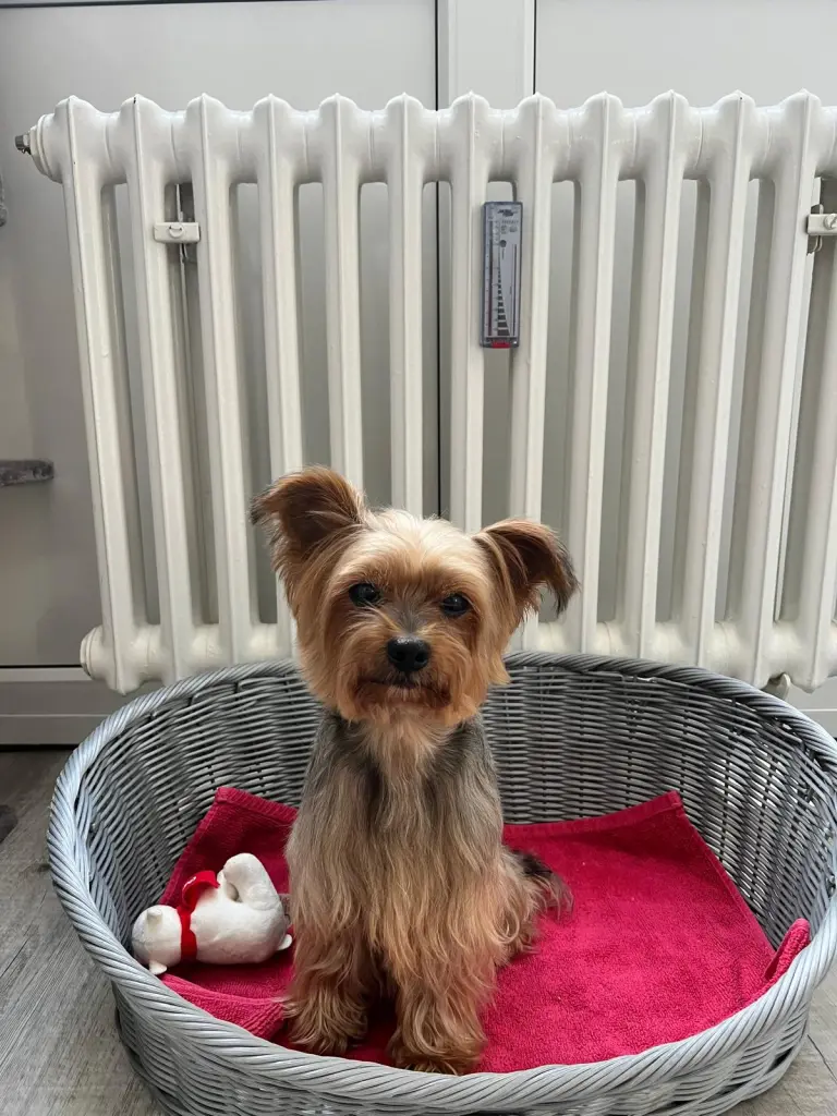 Condolence image of Magdalena Magdalena