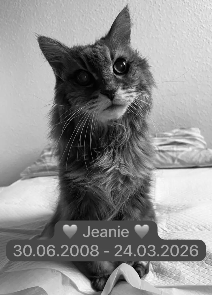Image from Jeanie