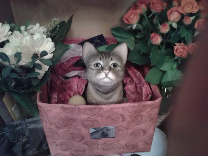 Condolence image of Carola 