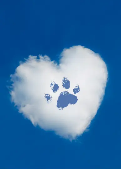 Condolence image of Melitta